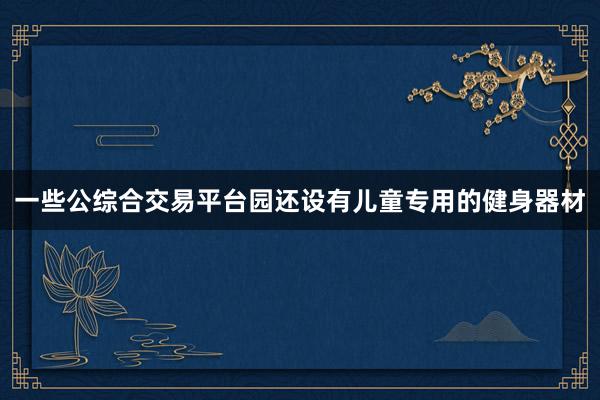 一些公综合交易平台园还设有儿童专用的健身器材